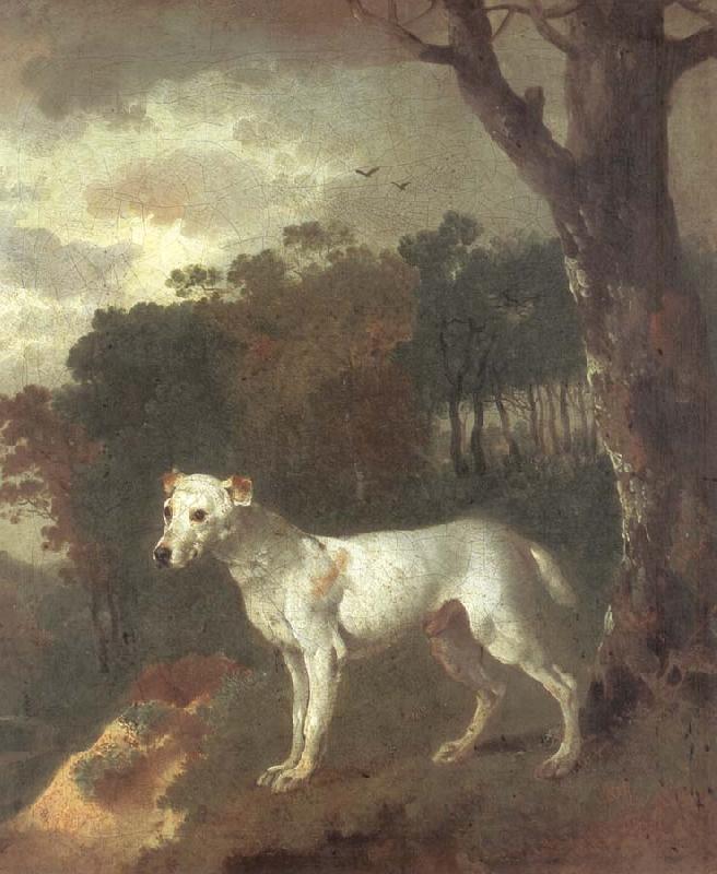 Thomas Gainsborough Bumper,a Bull Terrier China oil painting art